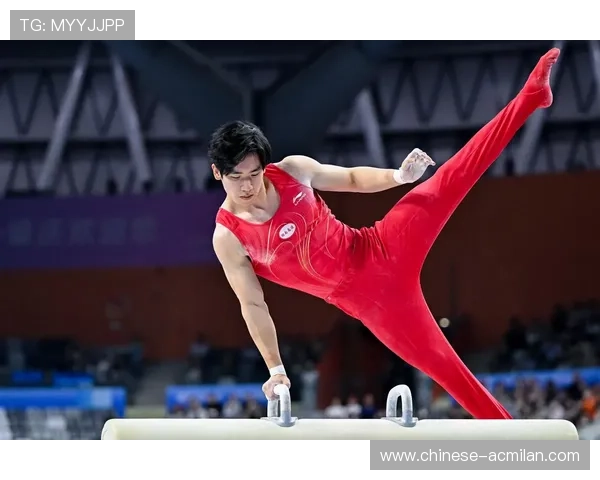 体操吊环稳健如钢铁——追求极致稳定与力量的完美结合