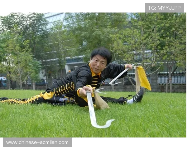 武术大赛黑马一招制胜，传统武学惊艳国际舞台