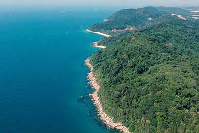 国家男篮训练营加强体能和战术磨合，男篮 训练